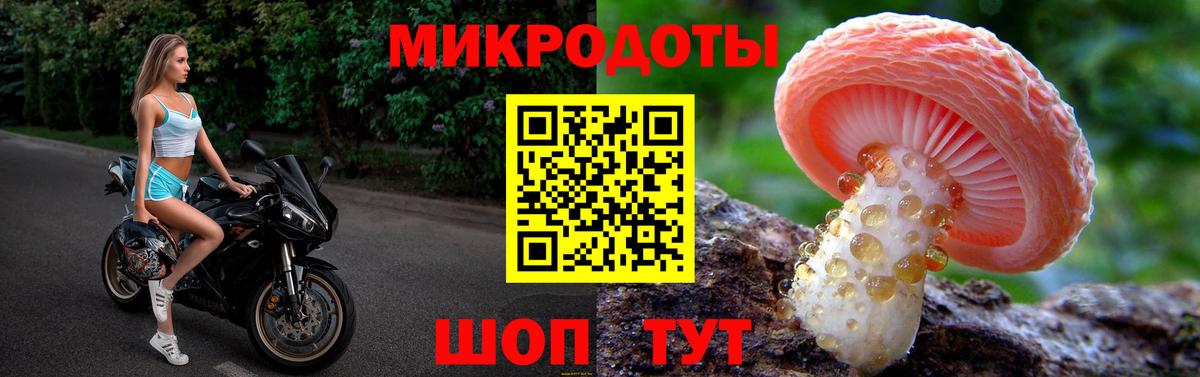 Фурманов  Галлюциногенные грибы Psilocybine cubensis  Псилоцибиновые грибы Magic Shrooms  Вход с VPN 